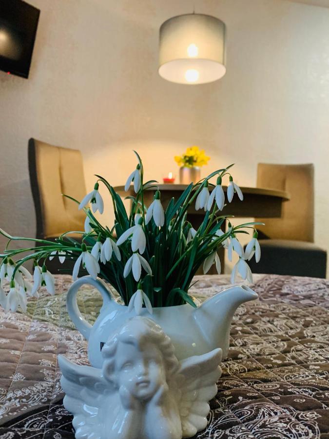 Restaurant Und Pension Zur Puppenstube Stolpen Extérieur photo