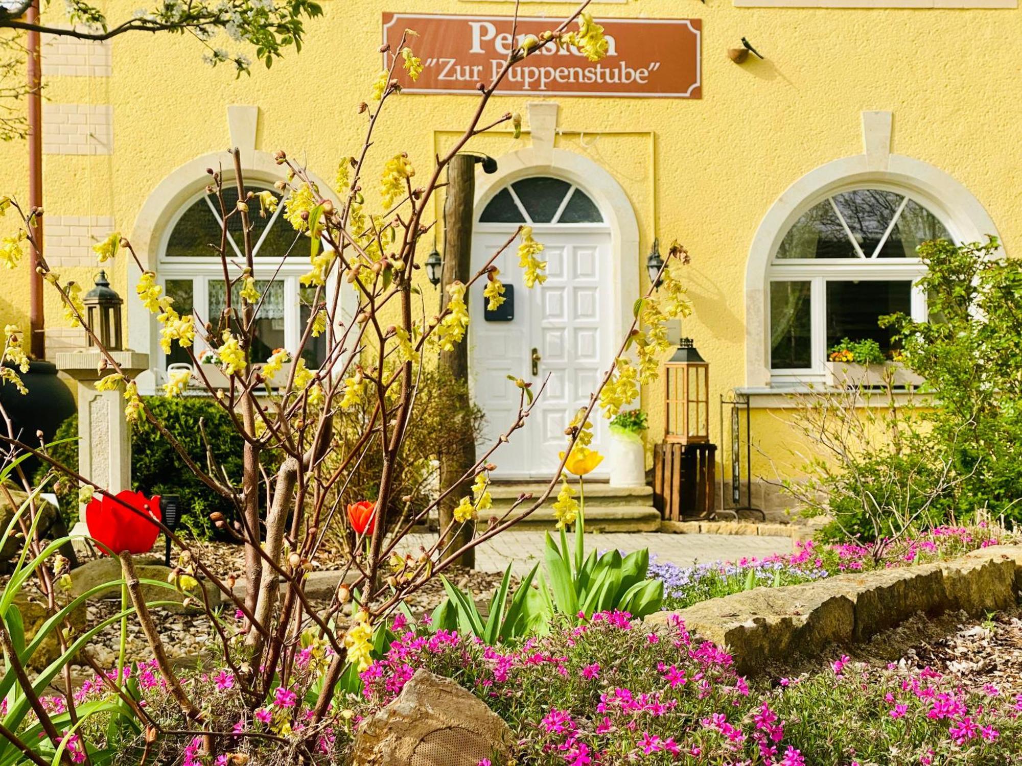 Restaurant Und Pension Zur Puppenstube Stolpen Extérieur photo